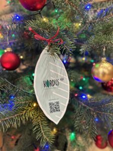 Read more about the article Podziękowania dla firmy Kordus za&nbsp;przekazanie choinek do&nbsp;naszych bibliotek